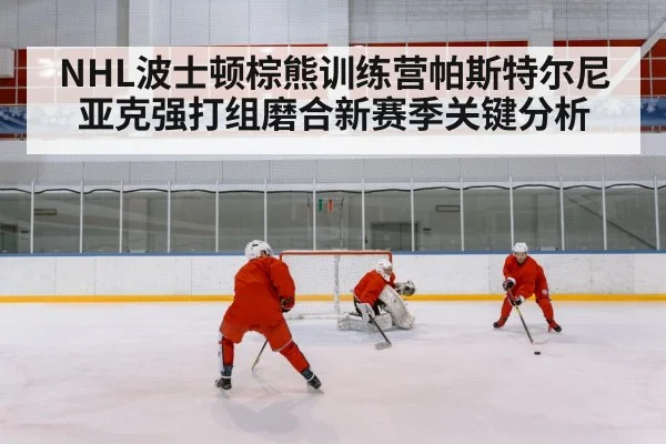 NHL波士顿棕熊训练营帕斯特尔尼亚克强打组磨合新赛季关键分析 | kaiyun.com